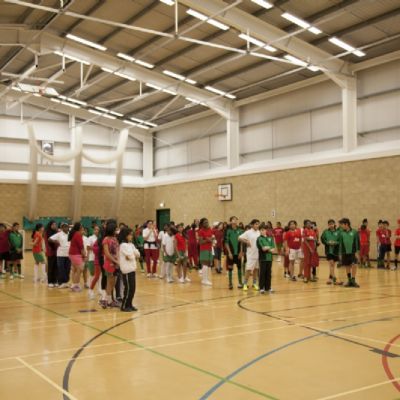 Year 7 (7)